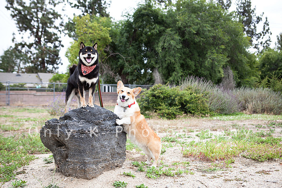 Jiro and Aqua