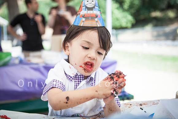 Aidan3rdBirthdayParty_041215-127