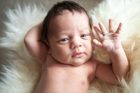 the_biebesheimer_newborn-30