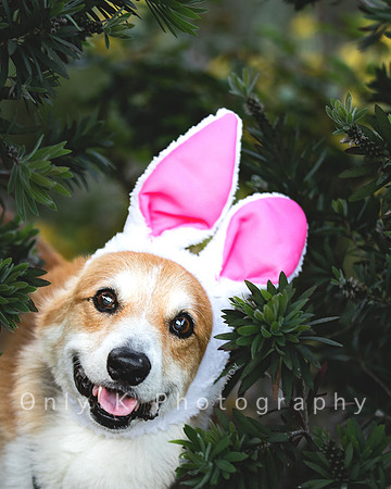 aqua_easter2023-27